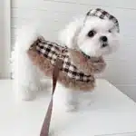Ensemble hiver chic pour petit chien 5