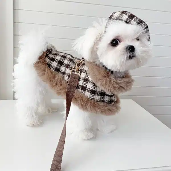 Ensemble hiver chic pour petit chien 5