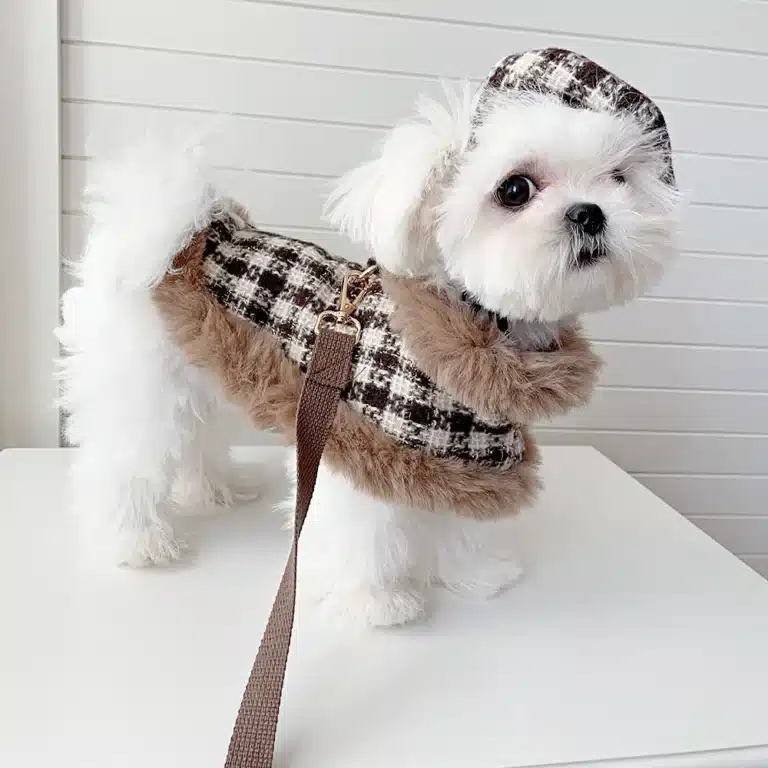 Ensemble hiver chic pour petit chien 5