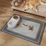 Tapis de nourriture rigolo pour chien 2