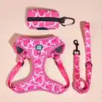 Ensemble harnais motif coeur chien 2
