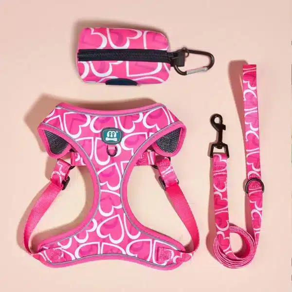 Ensemble harnais motif coeur chien 2