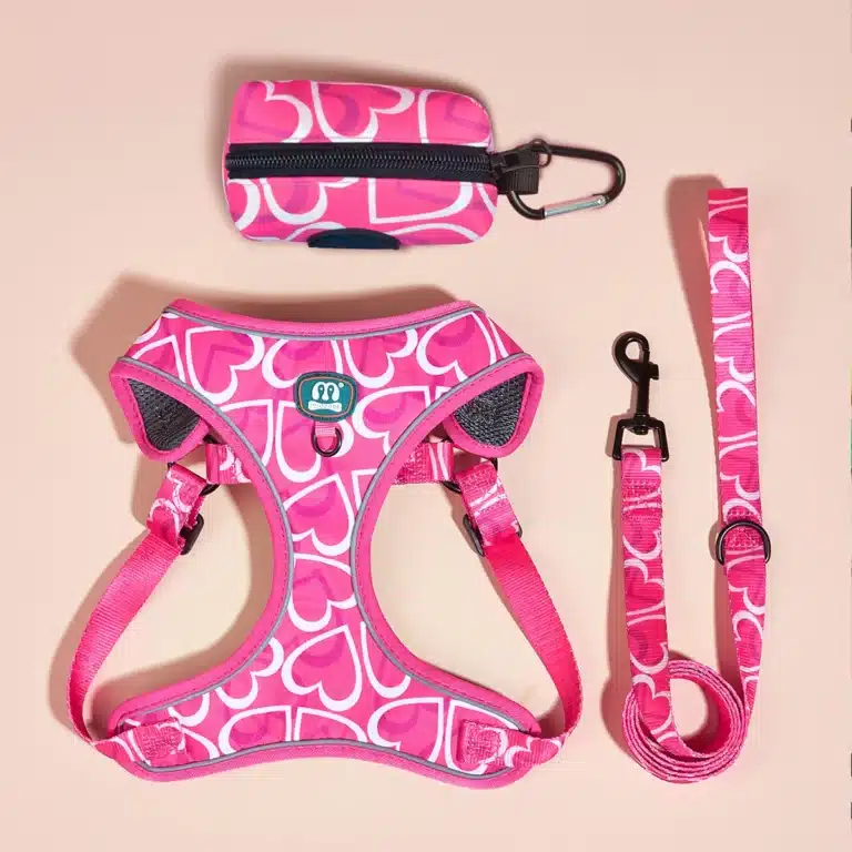 Ensemble harnais motif coeur chien 2