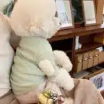 Pull teddy chaud pour petit chien 5