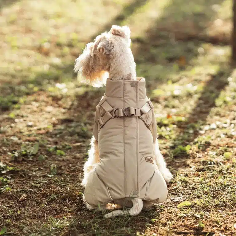 Veste hiver avec harnais petit chien 5