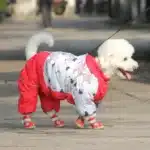 Combinaison chaude pour petit chien 14