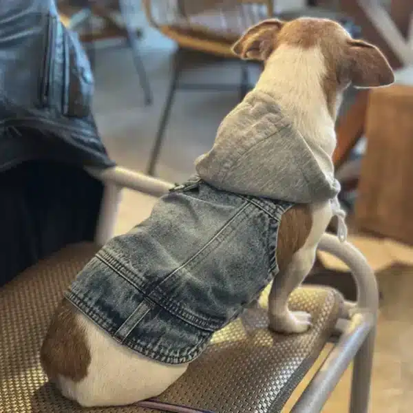 Veste sans manche jean petit chien 9
