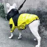 Imperméable à capuche pour chien 6