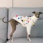 Pull à col pour lévrier 1