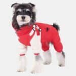 4190596945_cleanup (1)