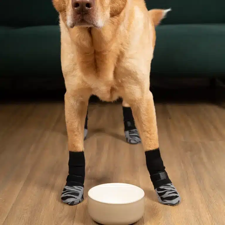 Chaussettes antidérapant chien 12
