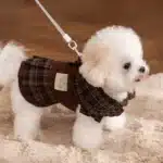 Tenue marron a carreaux petit chien 4