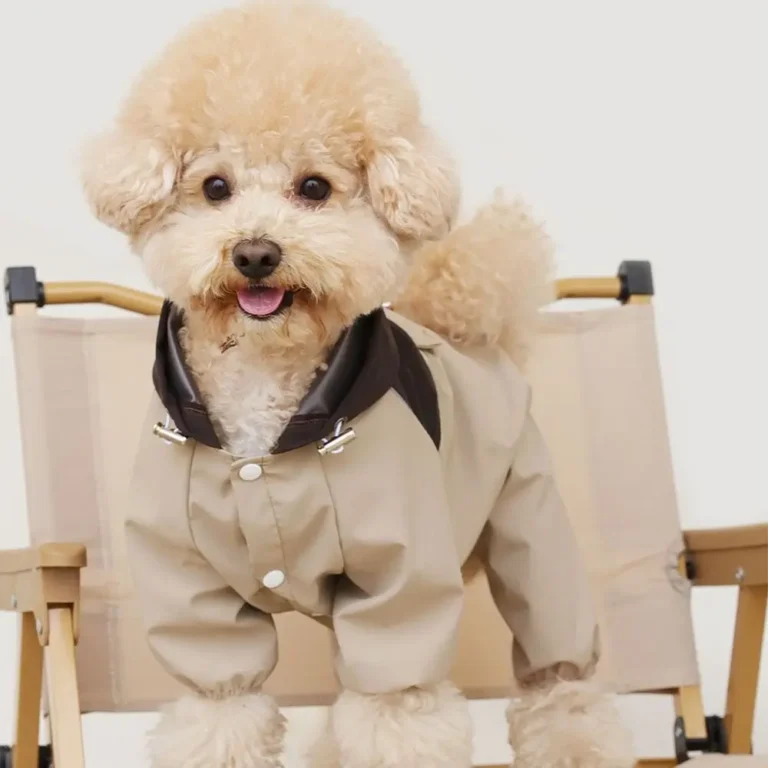 Parka impermeable petit chien 1