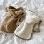 Pull oreille pour petit chien 3