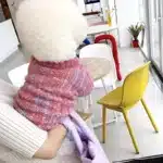 Gilet en laine pour petit chien 2