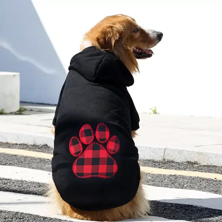 Sweat à capuche Noir pour chien 2