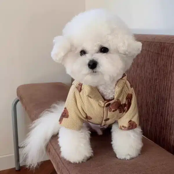 Veste imprimée ours pour petit chien 15