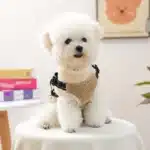 Gilet harnais chaud pour petit chien 1