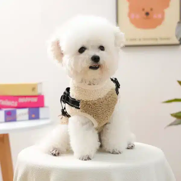 Gilet harnais chaud pour petit chien 1