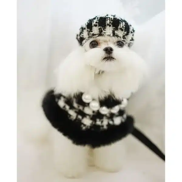 Ensemble hiver chic pour petit chien 1