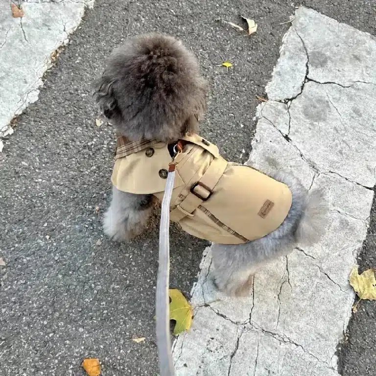Manteau en velour pour petit chien 3