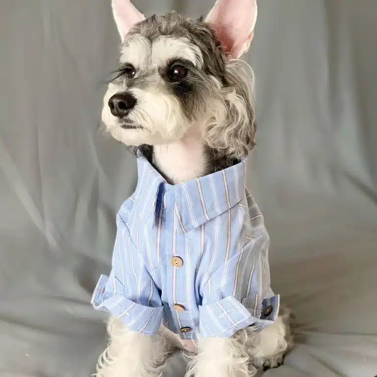 Chemise rayée bleu pour chien 7