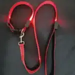 Laisse lumineuse LED pour chien 2