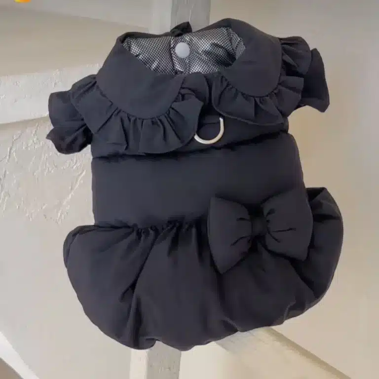 Manteau à nœud de princesse pour petit chien 2