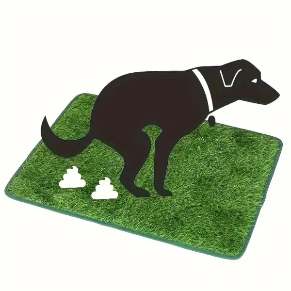 Tapis de propreté pour petit chien 1