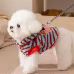 Pull avec pompon rayé pour petit chien 4