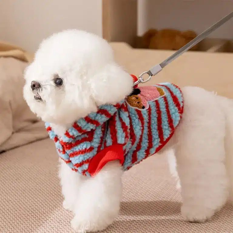 Pull avec pompon rayé pour petit chien 4