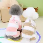 Combinaison pilou pilou pour bichon 3