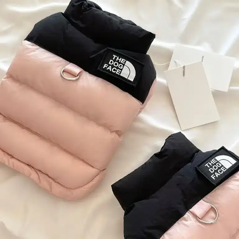 Manteau dog face pour petit chien 6