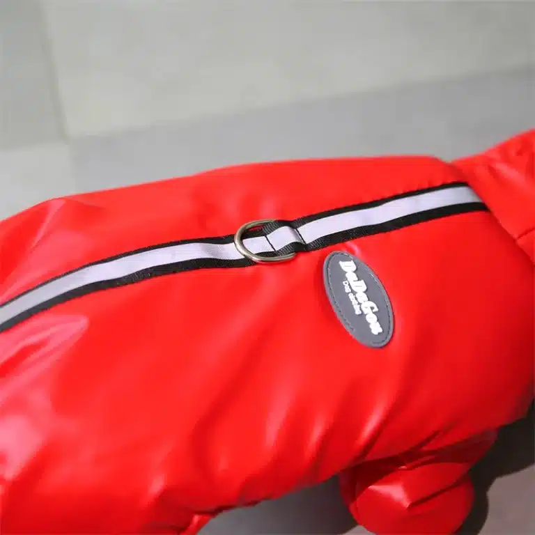 Combinaison hiver petit chien 4