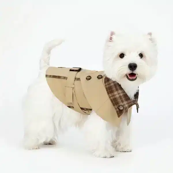 Manteau en velour pour petit chien 2