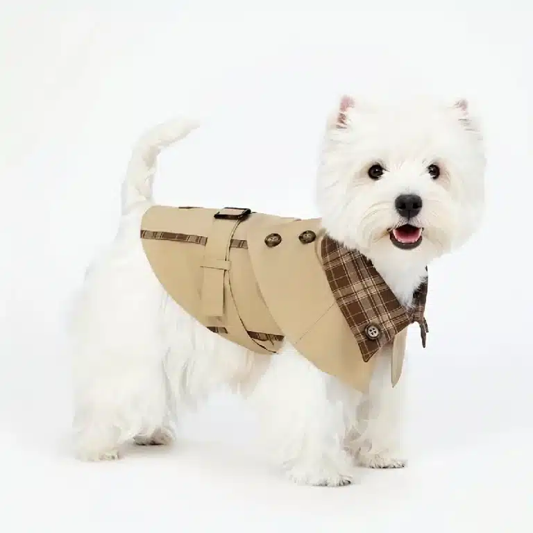 Manteau en velour pour petit chien 2