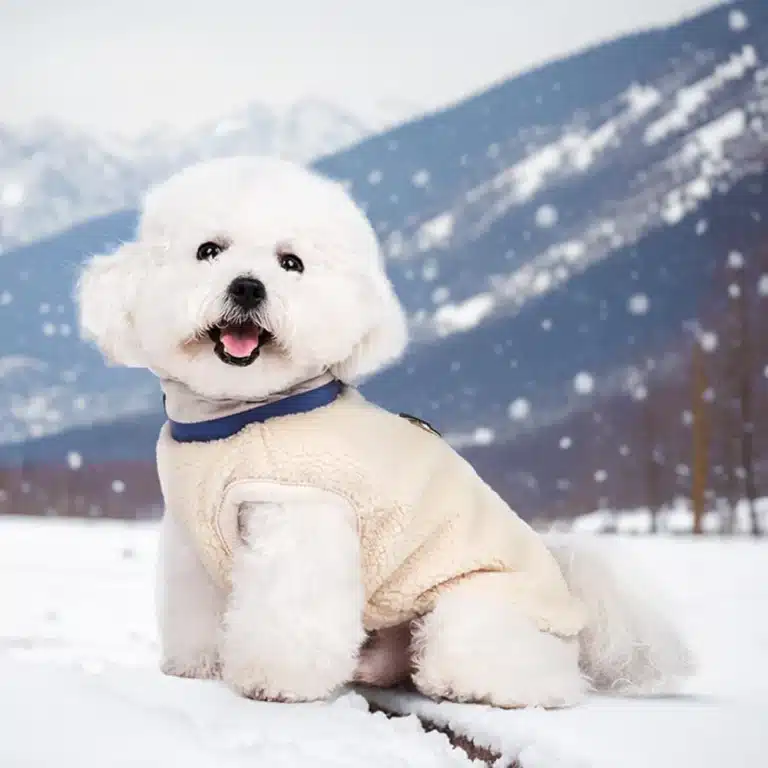 Gilet chaud pour petit chien 3