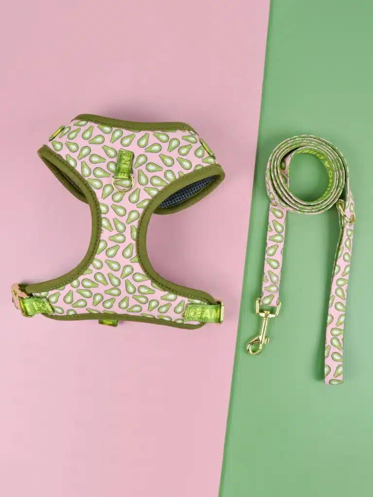 Harnais avocat pour chien 11