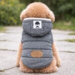 ChatGPT Image 10 janv. 2026, 22_41_05