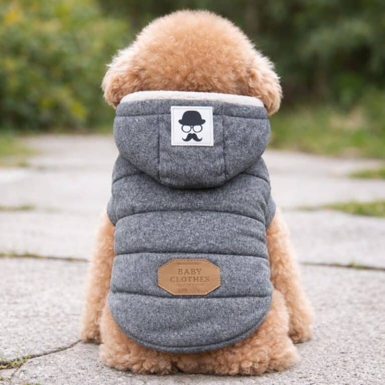 ChatGPT Image 10 janv. 2026, 22_41_05