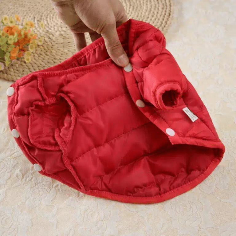 ChatGPT Image 13 janv. 2026, 19_28_06