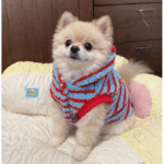 ChatGPT Image 14 janv. 2026, 19_16_36