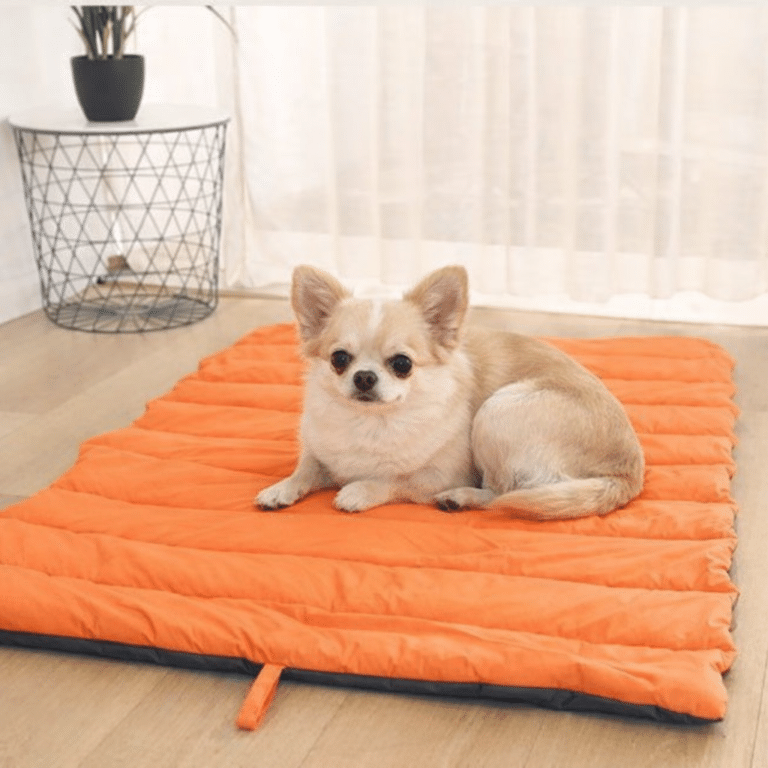 ChatGPT Image 14 janv. 2026, 20_34_33