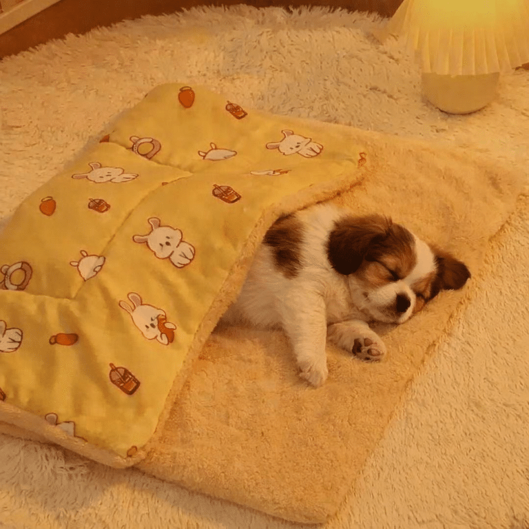 ChatGPT Image 15 janv. 2026, 19_25_30