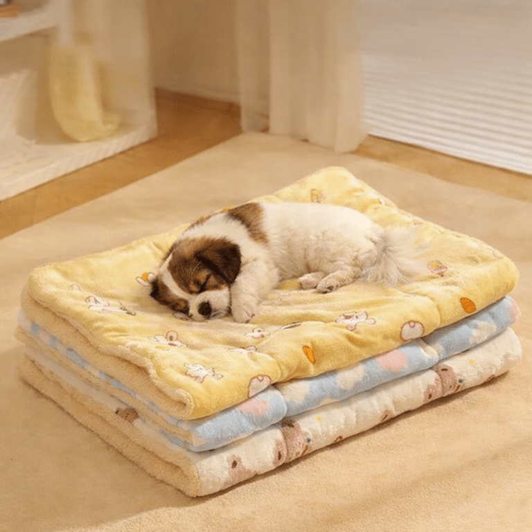 ChatGPT Image 15 janv. 2026, 19_26_58