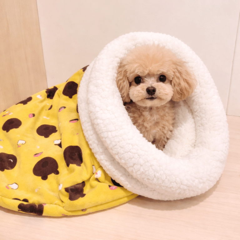 ChatGPT Image 15 janv. 2026, 20_21_55