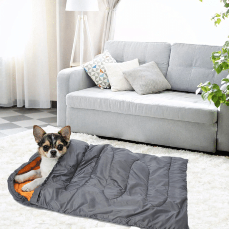 ChatGPT Image 15 janv. 2026, 20_34_04