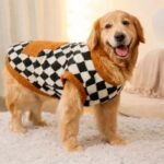 ChatGPT Image 16 janv. 2026, 21_46_33