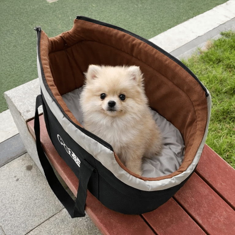 ChatGPT Image 17 janv. 2026, 20_18_10