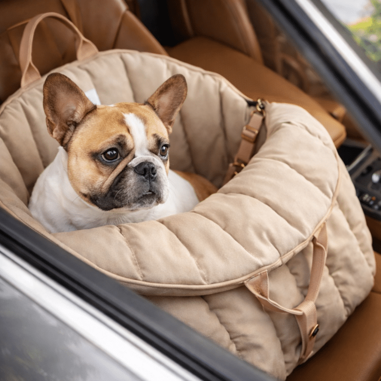 ChatGPT Image 17 janv. 2026, 20_25_40